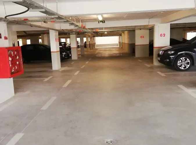 Armony * Тімішоара